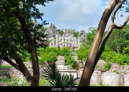 The Maya archeological site of Uxmal in Yucatan, Mexico. Mayan ruins with the House of the Doves encroached by the jungle Stock Photo