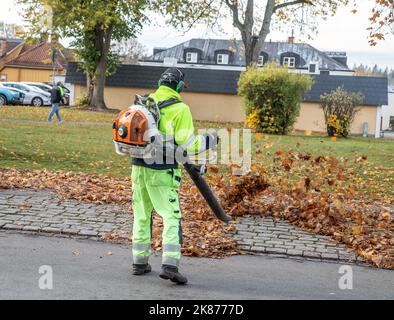 leaf blowing in Malmkoping. removal of autumn leaves in a city park, Stock Photo