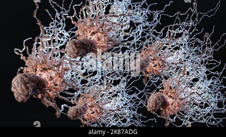 Peritrichous Bacteria with lot of flagellum, bacteria with long tails and thin villi moving in the black environment, viruses floating in the liquid Stock Photo