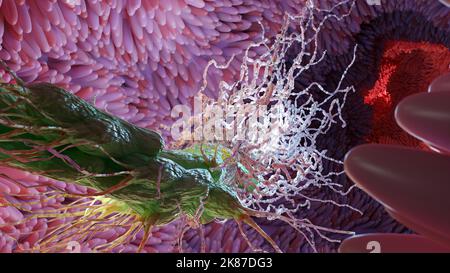 Peritrichous Bacteria with lot of flagellum, bacteria with long tails and thin villi moving in the black environment, viruses floating in the liquid Stock Photo