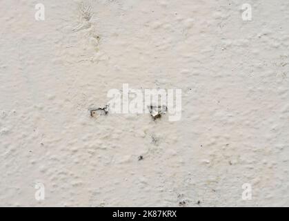 High quality old grunge rusted sheet metal texture painted in cream, rust and oxidized painted metal background. Old metal iron panel. Stock Photo