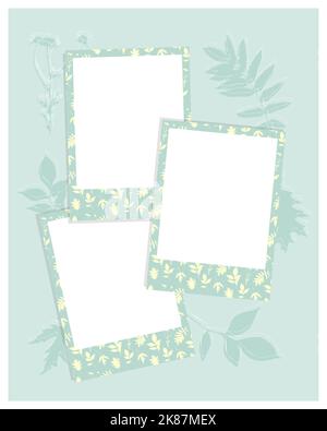 Photobook Frame for collage, photo frame, camomile print, herbarium. Vector illustration Stock Vector