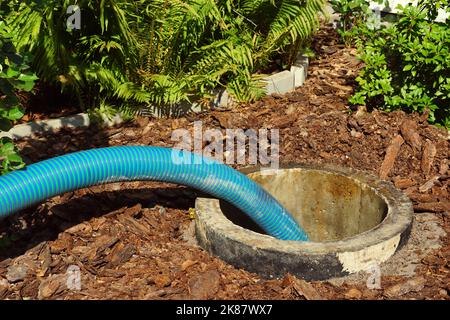 Pumping out sewage from a septic tank. Pipe in the drainage pit. Stock Photo