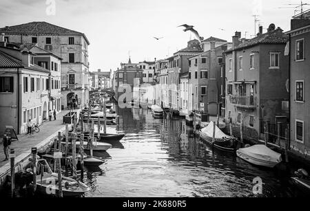 panoramic view of Chioggia town with canal, - Lagoon landscape -  Venetian lagoon, Venice province, Veneto disctrict, Italy-black and white image Stock Photo