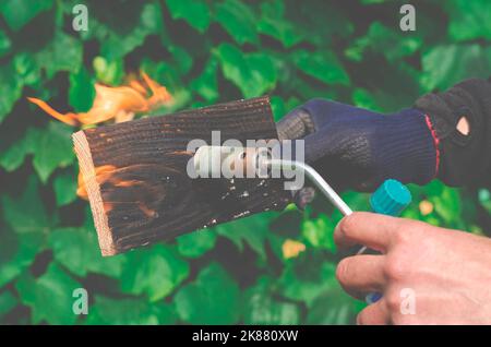 Wood treatment with gas burner fire. DIY process Stock Photo