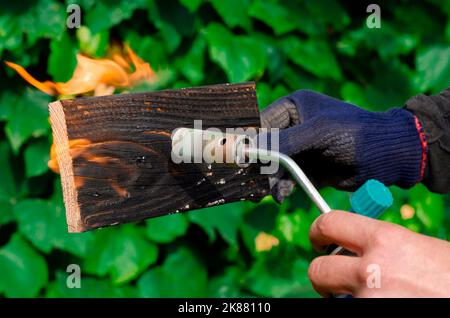 Wood treatment with gas burner fire. DIY process Stock Photo