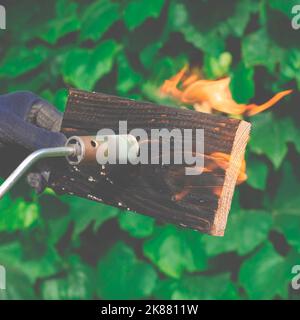 Wood treatment with gas burner fire. DIY process Stock Photo