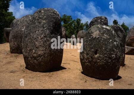 Cork oak trees and a blue sky with wispy cloud provide the backdrop to one of Europe’s oldest and largest megalithic complexes, the 7,000-year-old Almendres Cromlech near Évora in Alentejo, southern Portugal.  Granite boulders, some carved with symbols, are arranged in concentric circles to align with the sun, moon and stars. Stock Photo