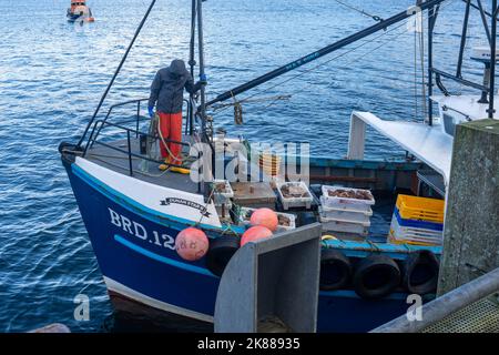 Boxes of freshly caught crabs on a boat at Portree harbour in the Isle of Skye Stock Photo