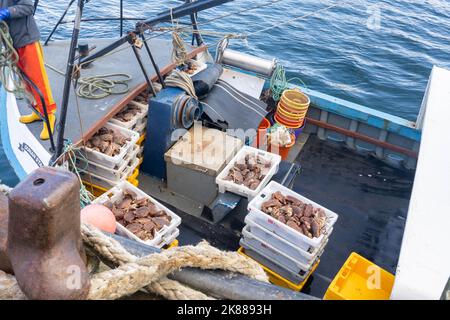 Boxes of freshly caught crabs on a boat at Portree harbour in the Isle of Skye Stock Photo