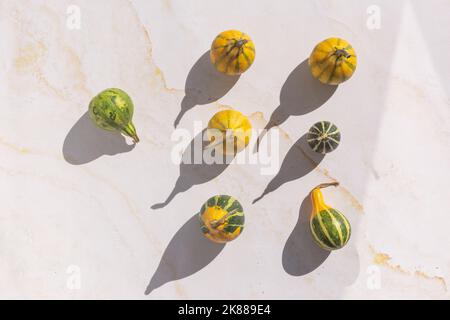 Colourful mini pumpkins on white background, top view, flat lay. Dark shadow. Halloween or Thanksgiving celebration. Stock Photo