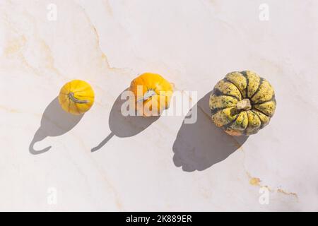 Colourful mini pumpkins on white background, top view, flat lay. Dark shadow. Halloween or Thanksgiving celebration. Stock Photo