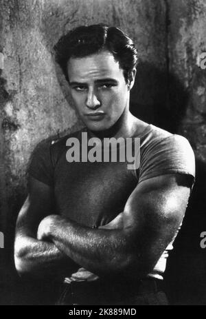 Marlon Brando  Actor   01 May 1951   **WARNING** This Photograph is for editorial use only and is the copyright of The Film Company and/or the Photographer assigned by the Film or Production Company and can only be reproduced by publications in conjunction with the promotion of the above Film. A Mandatory Credit To The Film Company is required. The Photographer should also be credited when known. No commercial use can be granted without written authority from the Film Company. Stock Photo