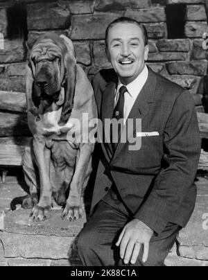 Walt Disney   Producer & Animator  / Walter Elias 'Walt' Disney 01 May 1955   **WARNING** This Photograph is for editorial use only and is the copyright of The Film Company and/or the Photographer assigned by the Film or Production Company and can only be reproduced by publications in conjunction with the promotion of the above Film. A Mandatory Credit To The Film Company is required. The Photographer should also be credited when known. No commercial use can be granted without written authority from the Film Company. Stock Photo