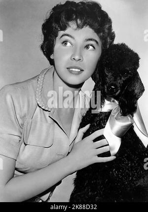 LESLIE CARON & DOG ACTRESS (1951 Stock Photo - Alamy