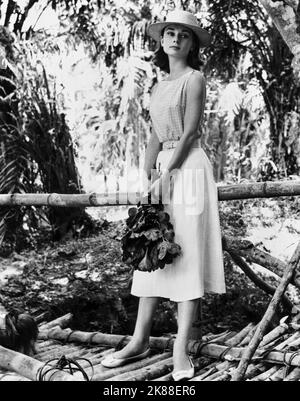 Audrey Hepburn  Actress (ca. 1956/1957)  01 May 1957   **WARNING** This Photograph is for editorial use only and is the copyright of The Film Company and/or the Photographer assigned by the Film or Production Company and can only be reproduced by publications in conjunction with the promotion of the above Film. A Mandatory Credit To The Film Company is required. The Photographer should also be credited when known. No commercial use can be granted without written authority from the Film Company. Stock Photo