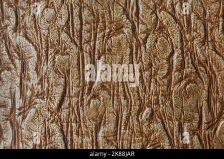 light and dark brown color embossed textured abstract, bumpy, uneven and blurry surface background or backdrop for graphic designing Stock Photo