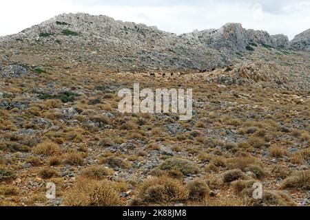 Gramvousa Peninsula, Chersonesos Gramvousas, Crete, Greece, Europe Stock Photo