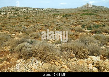 Gramvousa Peninsula, Chersonesos Gramvousas, Crete, Greece, Europe Stock Photo