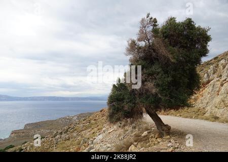 Gramvousa Peninsula, Chersonesos Gramvousas, Crete, Greece, Europe Stock Photo