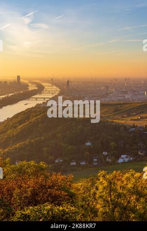 Wien, Vienna: sunrise at Vienna, vineyards, river Donau (Danube) and Neue Donau (New Danube, left), tower Donauturm, DC Tower 1, hamlet Kahlenbergerdo Stock Photo