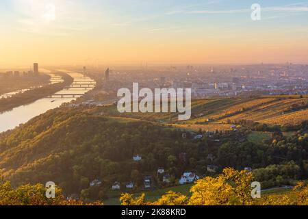 Wien, Vienna: sunrise at Vienna, vineyards, river Donau (Danube) and Neue Donau (New Danube, left), tower Donauturm, DC Tower 1, hamlet Kahlenbergerdo Stock Photo