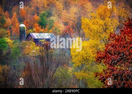 Fall trees & autumn leaves turning color upper New York State - Colorful leaf and forest foliage - Finger Lakes region United States Stock Photo