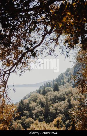 View of a forest of green trees by the water in Greece with a mountain in the background through tree branches in the foreground. Stock Photo