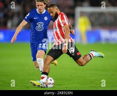 19 Oct 2022 - Brentford v Chelsea - Premier League - Gtech Community Stadium  Brentford's Bryan Mbeumo during the Premier League match against Chelsea. Picture : Mark Pain / Alamy Stock Photo