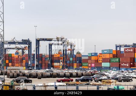 Gdynia, Poland. 21st Oct, 2022. Cranes and containers are seen in Gdynia Port, the third biggest transport port in Poland located on Baltic Sea on October 21, 2022. The Port of Gdynia is a key terminal of military shipments into eastern flank of NATO. The port has increasing strategic meaning for the organisation, especially after Finland's and Sweden's (other Baltic Sea states) bid to join NATO. (Photo by Dominika Zarzycka/Sipa USA) Credit: Sipa USA/Alamy Live News Stock Photo