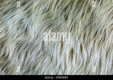 Fox fur textures. Fox shaggy fur texture. Abstract fabric. Fluffy rusty texture. Smooth surface, rough skin background. Stock Photo