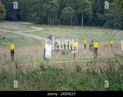 several British army soldiers equipped with telescopic sighted rifles, map-reading in preparation for a military exercise Stock Photo