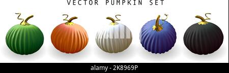 Halloween or Thanksgiving realistic pumpkin set isolated on white background. Ripe 3d October party pumpkins vector collection  Stock Vector