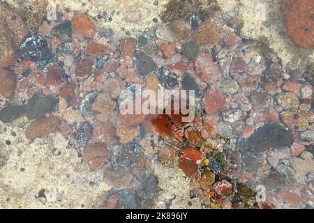 Bright abstraction, artistic background, red stones in the water Stock Photo