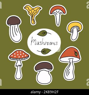 Mushrooms groovy doodle cartoon sticker set. Different types of mushrooms, autumn collection on green background. Hand drawn cute vector illustration. Stock Vector