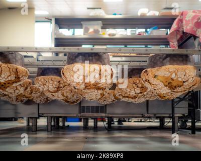 panettone cooking secrets concept hanging up down in the kitchen Stock Photo