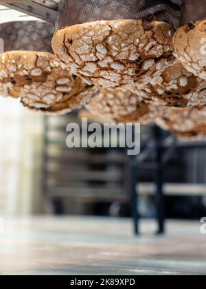panettone cooking secrets concept hanging up down in the kitchen Stock Photo
