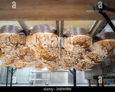 panettone cooking secrets concept hanging up down in the kitchen Stock Photo