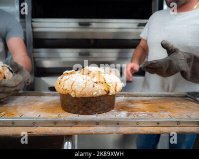 group of panettone cakes baking in the pro oven at the baker Stock Photo
