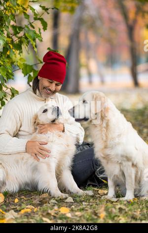 Vertical photo of a middle-aged man and two dogs, golden retriever, play cute while walking in the park. Friendship, love and care for pets. Close-up Stock Photo