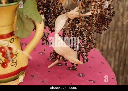Still life, vase with dry flowers on a table Stock Photo