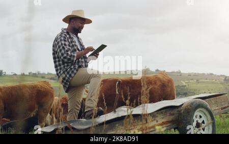The crops are growing and life is glowing. a mature man using a digital tablet while working on a cow farm. Stock Photo