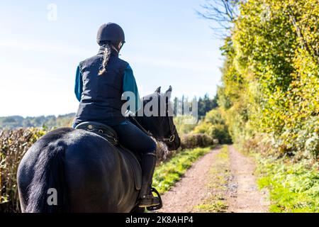 A horsewoman and her horse and Rebel a Friesian breed. First day out. Stock Photo