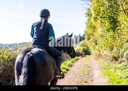 A horsewoman and her horse and Rebel a Friesian breed. First day out. Stock Photo