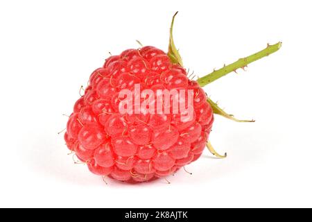 Raspberry ripe and tasty. Isolated on white background. High resolution photo. Full depth of field. Stock Photo