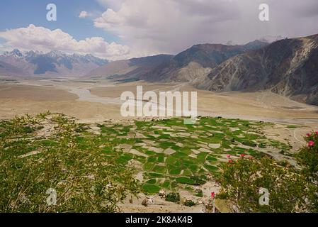 Aerial wide view of green contrasting fields farms landscape in arid dry  cold desert barren mountains exposed colourful rock in a river valley Stock Photo