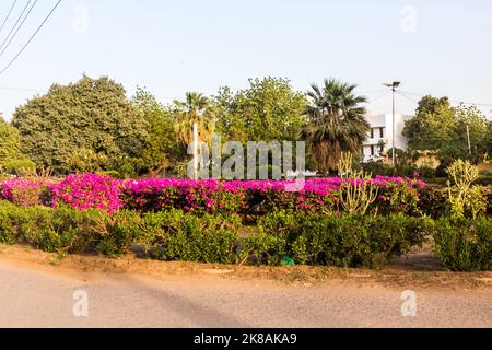 Small park in the center of Khartoum, capital of Sudan Stock Photo