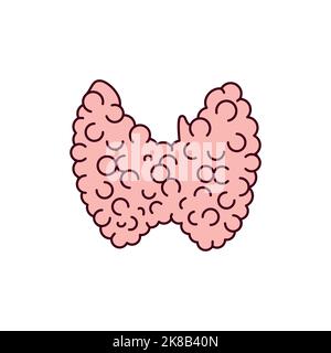 Gland thyroid color line icon. Endocrine system Stock Vector