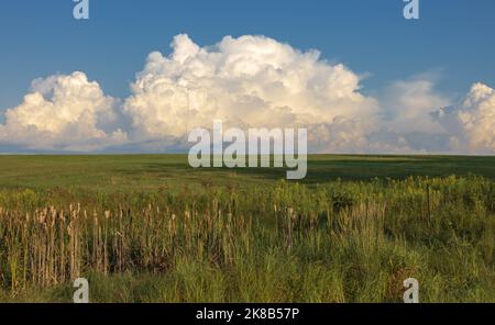 Large, puffy clouds over a farmer's field in northern Wisconsin. Stock Photo