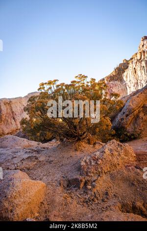 Photo taken in Paint Mines Interpretive Park in the Eastern Plains of Colorado (near Calhan) - this area is formed by winds and holds natural wonders. Stock Photo